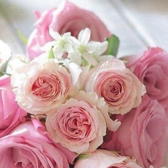 Meet your Posher, Suzanne - Picture 1 of 1